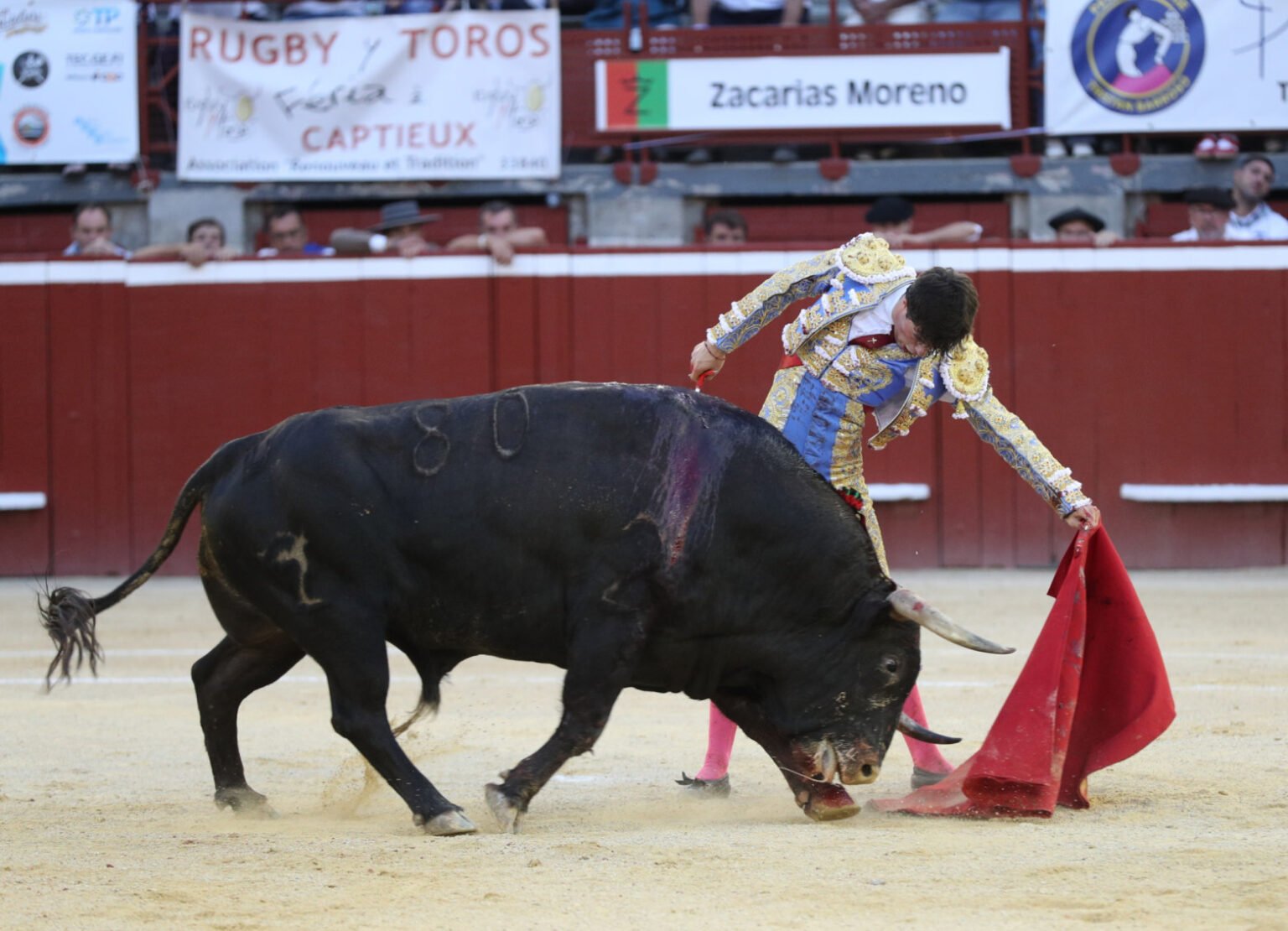 montla3em18