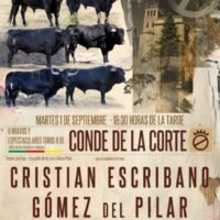 En fotos: una imponente corrida de Conde de la Corte para el próximo martes en Illescas