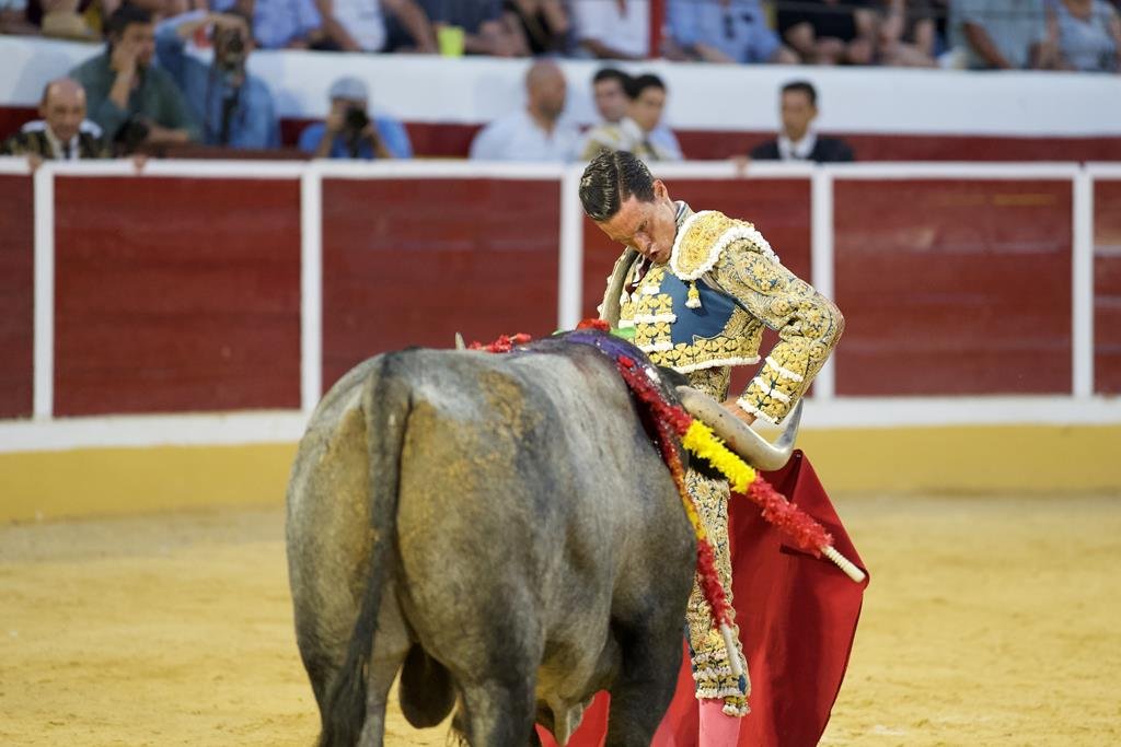 Sería tarde de David Galván ante los Adolfo en Añover de Tajo​