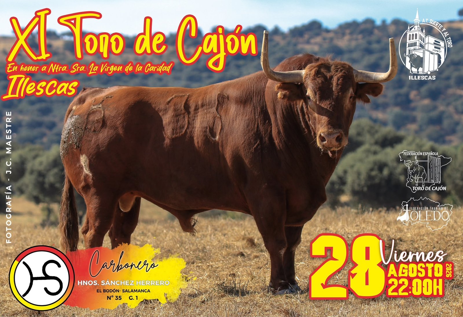 La Asociación Suerte y al Toro de Illescas celebrará su XI Toro de Cajón con un ejemplar de Sánchez Herrero