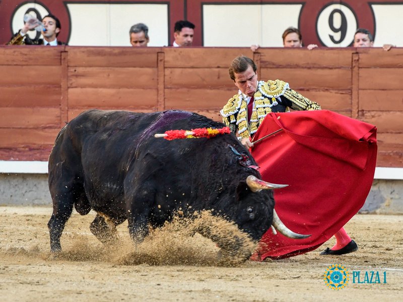 Javier Cortés, ante su regreso a Las Ventas en la festividad de La Paloma