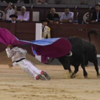 Intención de Adame, verónicas de Mora y Ovación de Peñaranda en tarde sin contenido en Madrid