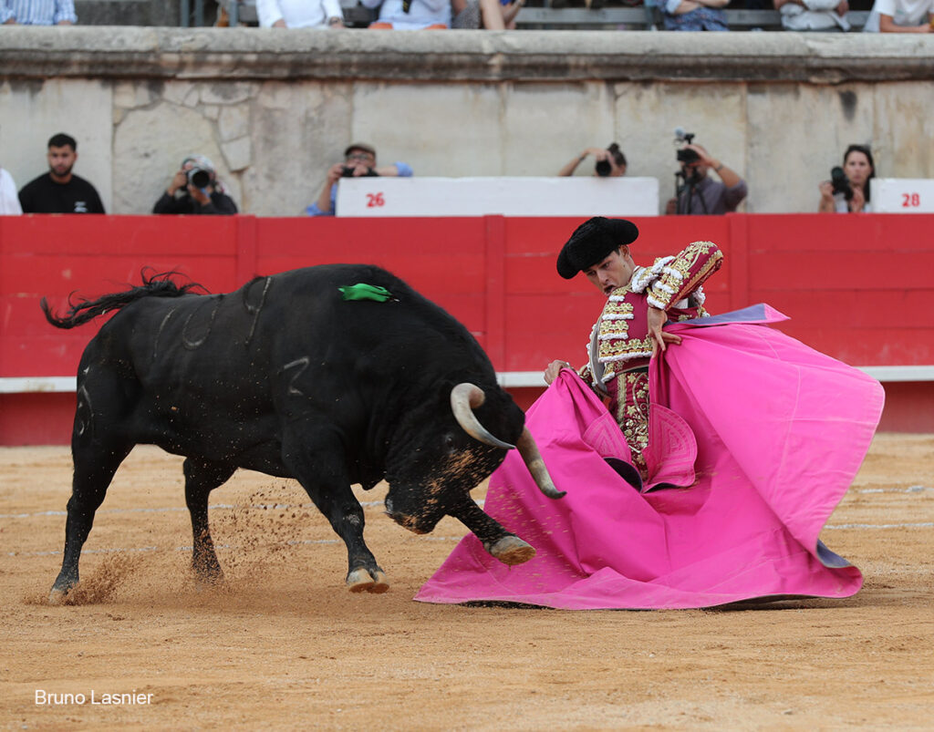 El Domingo de la vendimia de Nîmes : triunfo de Marco Pérez por la mañana y buena corrida de Fuente Ymbro por la tarde 45 El Domingo de la vendimia de Nîmes : triunfo de Marco Pérez por la mañana y buena corrida de Fuente Ymbro por la tarde Marco Pérez no contó con mucha colaboración por parte de sus toros. No obstante, triunfó. Gracias a varias buenas estocadas, variedad y una entrega absoluta ante el difícil reto de enfrentarse en solitario a seis toros.
