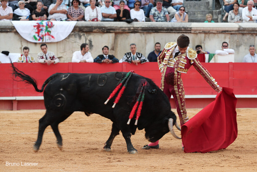 El Domingo de la vendimia de Nîmes : triunfo de Marco Pérez por la mañana y buena corrida de Fuente Ymbro por la tarde 46 El Domingo de la vendimia de Nîmes : triunfo de Marco Pérez por la mañana y buena corrida de Fuente Ymbro por la tarde Marco Pérez no contó con mucha colaboración por parte de sus toros. No obstante, triunfó. Gracias a varias buenas estocadas, variedad y una entrega absoluta ante el difícil reto de enfrentarse en solitario a seis toros.