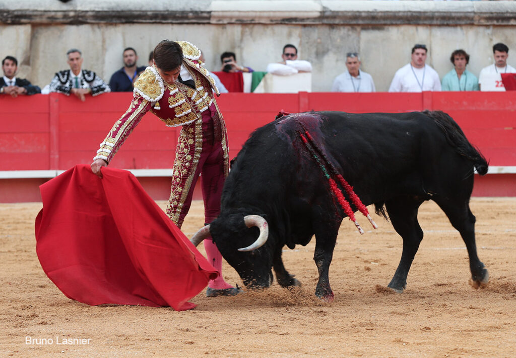 El Domingo de la vendimia de Nîmes : triunfo de Marco Pérez por la mañana y buena corrida de Fuente Ymbro por la tarde 47 El Domingo de la vendimia de Nîmes : triunfo de Marco Pérez por la mañana y buena corrida de Fuente Ymbro por la tarde Marco Pérez no contó con mucha colaboración por parte de sus toros. No obstante, triunfó. Gracias a varias buenas estocadas, variedad y una entrega absoluta ante el difícil reto de enfrentarse en solitario a seis toros.