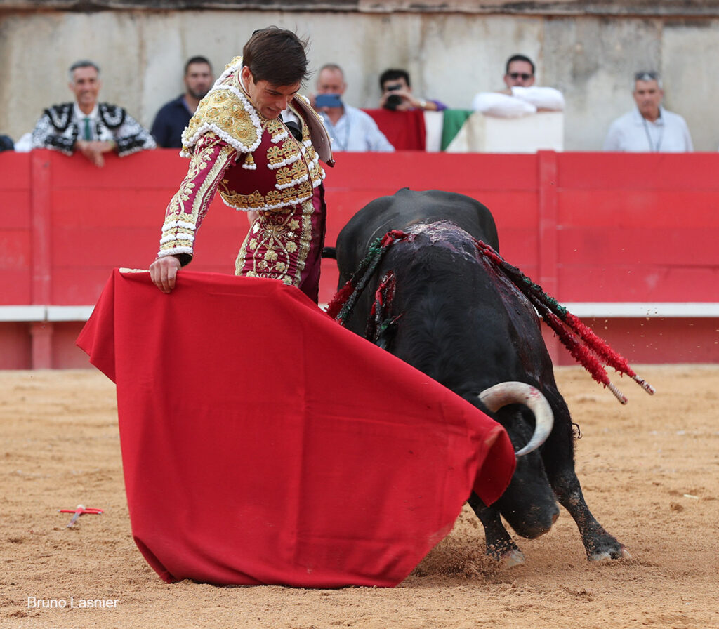 El Domingo de la vendimia de Nîmes : triunfo de Marco Pérez por la mañana y buena corrida de Fuente Ymbro por la tarde 48 El Domingo de la vendimia de Nîmes : triunfo de Marco Pérez por la mañana y buena corrida de Fuente Ymbro por la tarde Marco Pérez no contó con mucha colaboración por parte de sus toros. No obstante, triunfó. Gracias a varias buenas estocadas, variedad y una entrega absoluta ante el difícil reto de enfrentarse en solitario a seis toros.