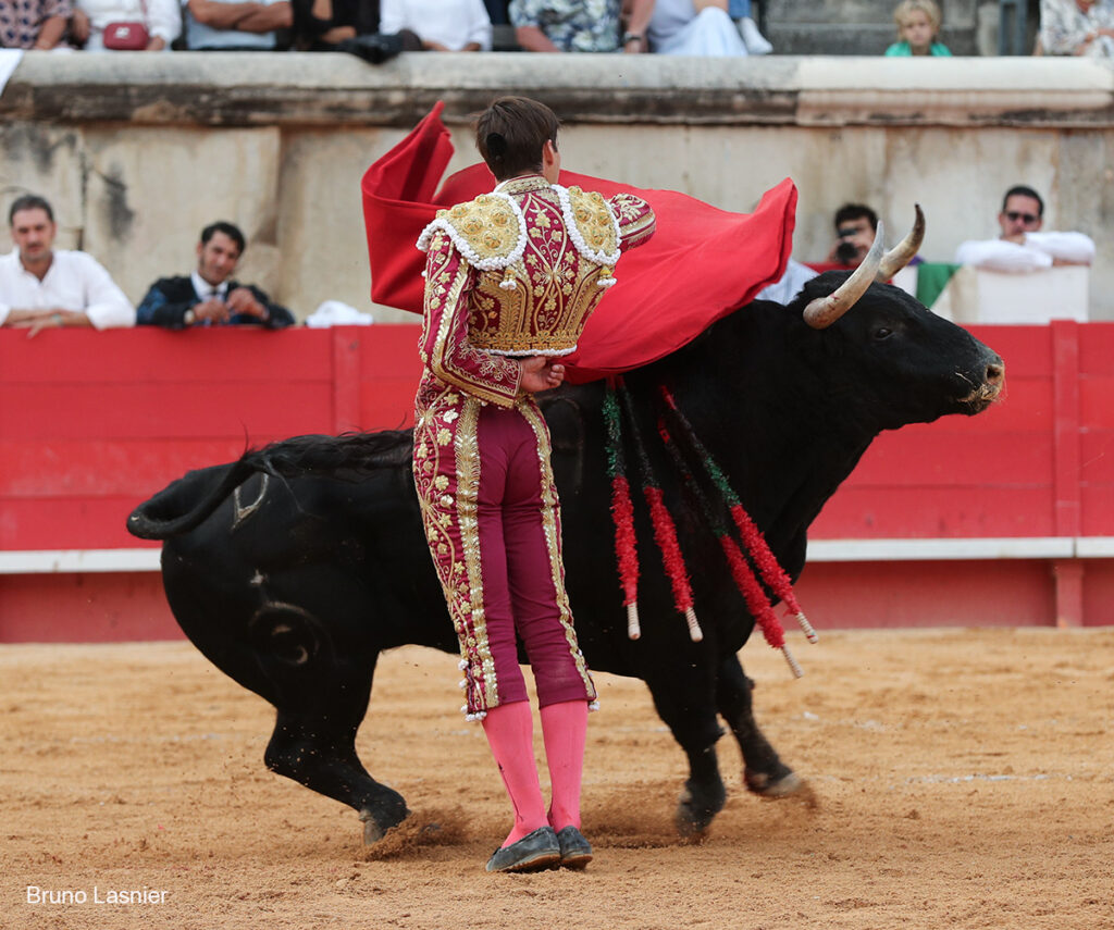 El Domingo de la vendimia de Nîmes : triunfo de Marco Pérez por la mañana y buena corrida de Fuente Ymbro por la tarde 50 El Domingo de la vendimia de Nîmes : triunfo de Marco Pérez por la mañana y buena corrida de Fuente Ymbro por la tarde Marco Pérez no contó con mucha colaboración por parte de sus toros. No obstante, triunfó. Gracias a varias buenas estocadas, variedad y una entrega absoluta ante el difícil reto de enfrentarse en solitario a seis toros.