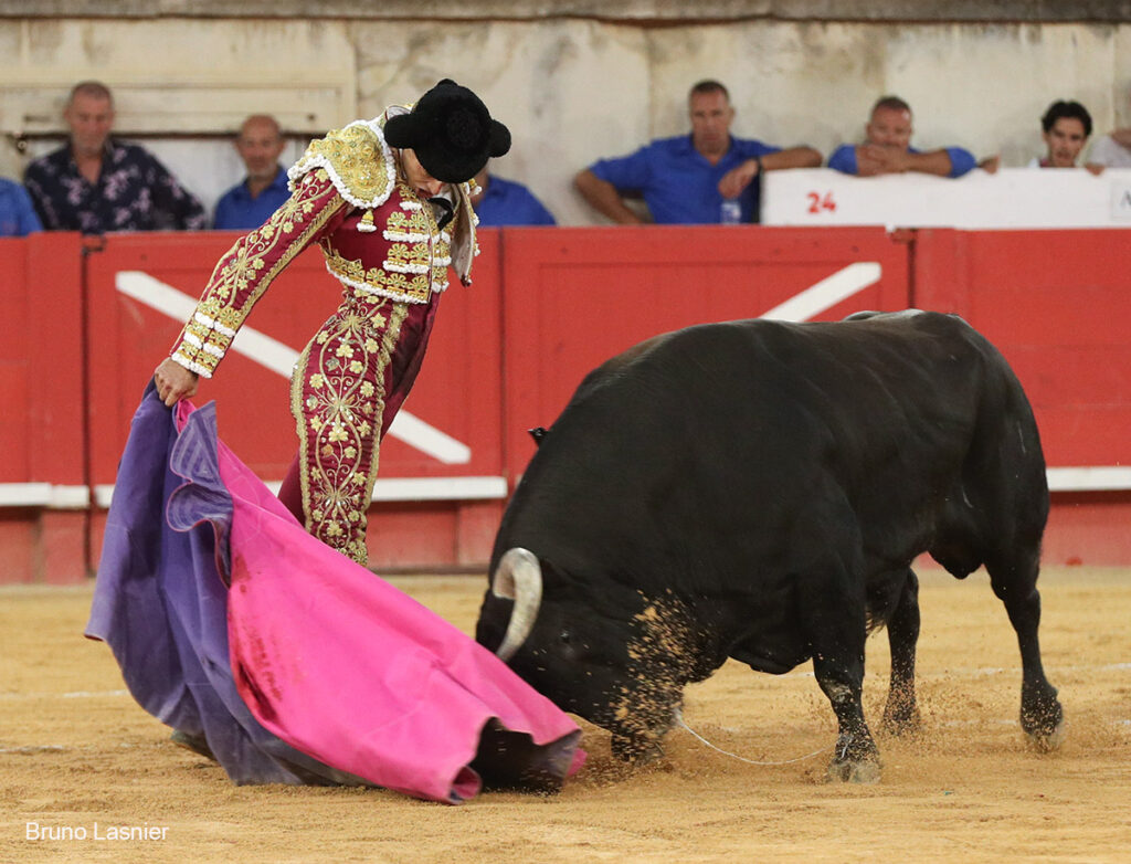 El Domingo de la vendimia de Nîmes : triunfo de Marco Pérez por la mañana y buena corrida de Fuente Ymbro por la tarde 52 El Domingo de la vendimia de Nîmes : triunfo de Marco Pérez por la mañana y buena corrida de Fuente Ymbro por la tarde Marco Pérez no contó con mucha colaboración por parte de sus toros. No obstante, triunfó. Gracias a varias buenas estocadas, variedad y una entrega absoluta ante el difícil reto de enfrentarse en solitario a seis toros.