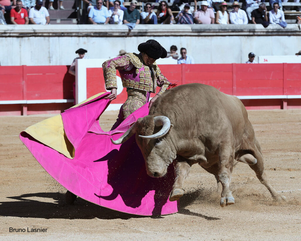 El Domingo de la vendimia de Nîmes : triunfo de Marco Pérez por la mañana y buena corrida de Fuente Ymbro por la tarde 4 El Domingo de la vendimia de Nîmes : triunfo de Marco Pérez por la mañana y buena corrida de Fuente Ymbro por la tarde Marco Pérez no contó con mucha colaboración por parte de sus toros. No obstante, triunfó. Gracias a varias buenas estocadas, variedad y una entrega absoluta ante el difícil reto de enfrentarse en solitario a seis toros.