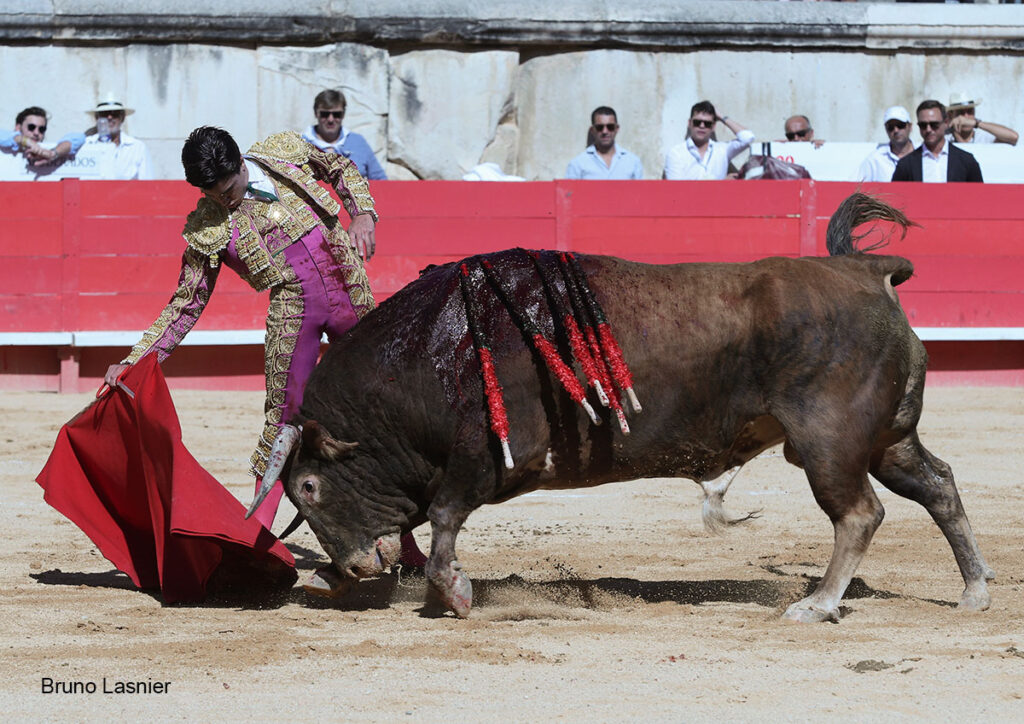 El Domingo de la vendimia de Nîmes : triunfo de Marco Pérez por la mañana y buena corrida de Fuente Ymbro por la tarde 2 El Domingo de la vendimia de Nîmes : triunfo de Marco Pérez por la mañana y buena corrida de Fuente Ymbro por la tarde Marco Pérez no contó con mucha colaboración por parte de sus toros. No obstante, triunfó. Gracias a varias buenas estocadas, variedad y una entrega absoluta ante el difícil reto de enfrentarse en solitario a seis toros.