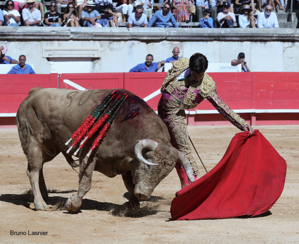 El Domingo de la vendimia de Nîmes : triunfo de Marco Pérez por la mañana y buena corrida de Fuente Ymbro por la tarde 10 El Domingo de la vendimia de Nîmes : triunfo de Marco Pérez por la mañana y buena corrida de Fuente Ymbro por la tarde Marco Pérez no contó con mucha colaboración por parte de sus toros. No obstante, triunfó. Gracias a varias buenas estocadas, variedad y una entrega absoluta ante el difícil reto de enfrentarse en solitario a seis toros.