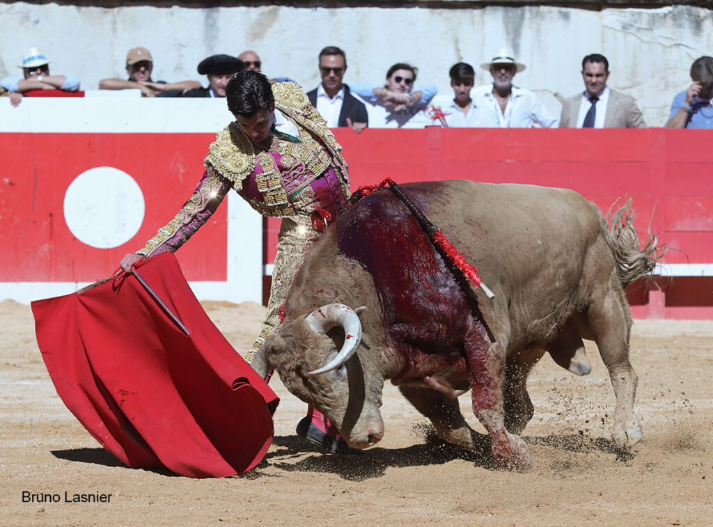 El Domingo de la vendimia de Nîmes : triunfo de Marco Pérez por la mañana y buena corrida de Fuente Ymbro por la tarde 11 El Domingo de la vendimia de Nîmes : triunfo de Marco Pérez por la mañana y buena corrida de Fuente Ymbro por la tarde Marco Pérez no contó con mucha colaboración por parte de sus toros. No obstante, triunfó. Gracias a varias buenas estocadas, variedad y una entrega absoluta ante el difícil reto de enfrentarse en solitario a seis toros.