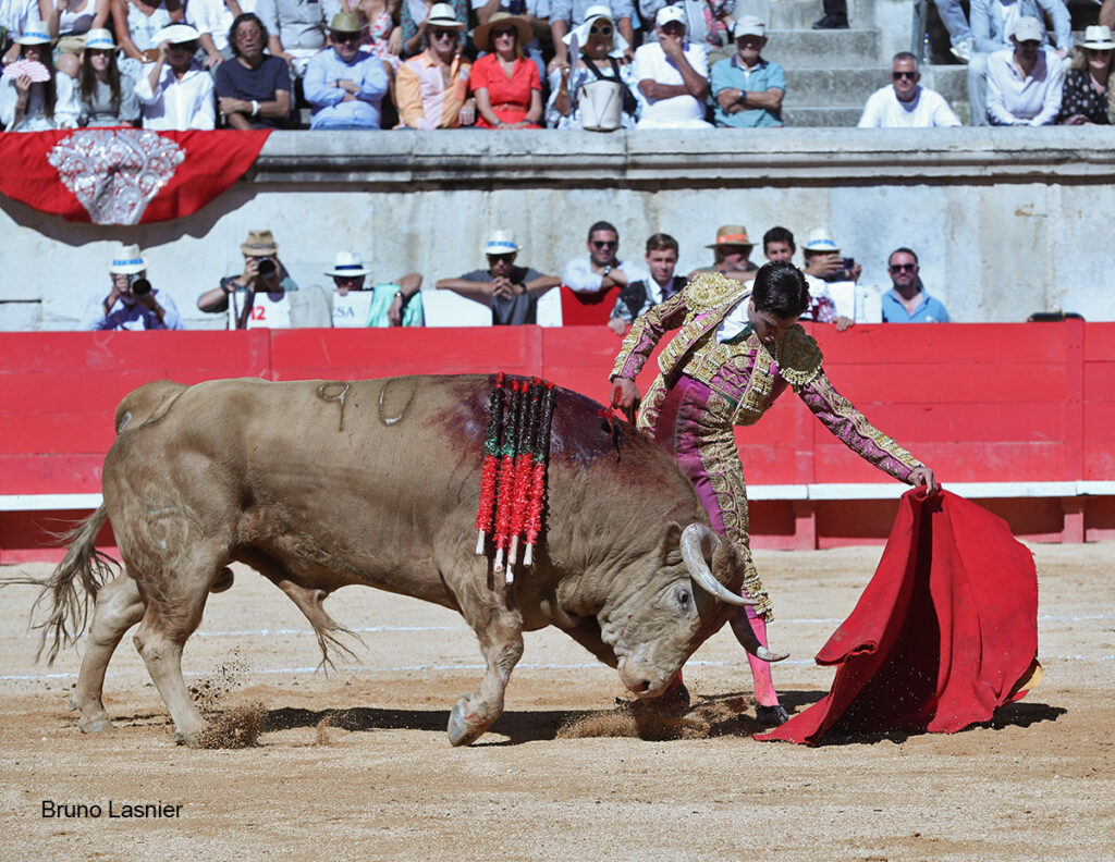 El Domingo de la vendimia de Nîmes : triunfo de Marco Pérez por la mañana y buena corrida de Fuente Ymbro por la tarde 12 El Domingo de la vendimia de Nîmes : triunfo de Marco Pérez por la mañana y buena corrida de Fuente Ymbro por la tarde Marco Pérez no contó con mucha colaboración por parte de sus toros. No obstante, triunfó. Gracias a varias buenas estocadas, variedad y una entrega absoluta ante el difícil reto de enfrentarse en solitario a seis toros.