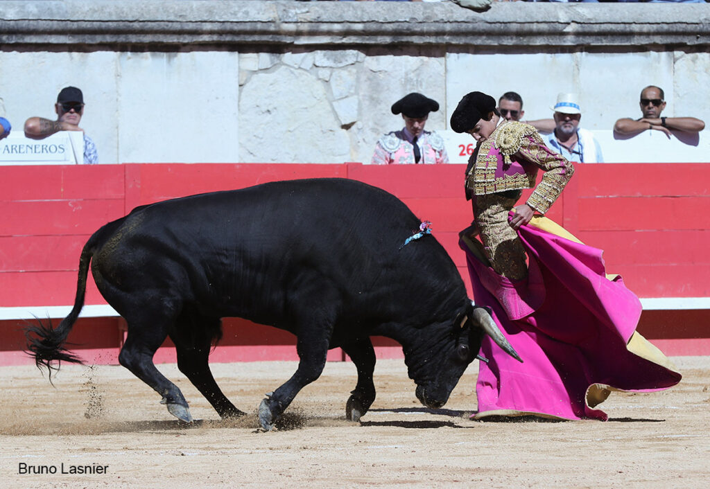 El Domingo de la vendimia de Nîmes : triunfo de Marco Pérez por la mañana y buena corrida de Fuente Ymbro por la tarde 15 El Domingo de la vendimia de Nîmes : triunfo de Marco Pérez por la mañana y buena corrida de Fuente Ymbro por la tarde Marco Pérez no contó con mucha colaboración por parte de sus toros. No obstante, triunfó. Gracias a varias buenas estocadas, variedad y una entrega absoluta ante el difícil reto de enfrentarse en solitario a seis toros.