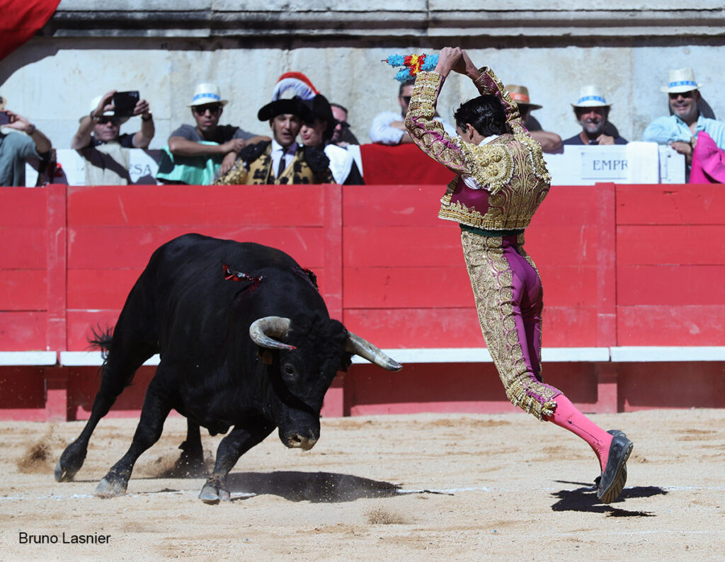 El Domingo de la vendimia de Nîmes : triunfo de Marco Pérez por la mañana y buena corrida de Fuente Ymbro por la tarde 16 El Domingo de la vendimia de Nîmes : triunfo de Marco Pérez por la mañana y buena corrida de Fuente Ymbro por la tarde Marco Pérez no contó con mucha colaboración por parte de sus toros. No obstante, triunfó. Gracias a varias buenas estocadas, variedad y una entrega absoluta ante el difícil reto de enfrentarse en solitario a seis toros.