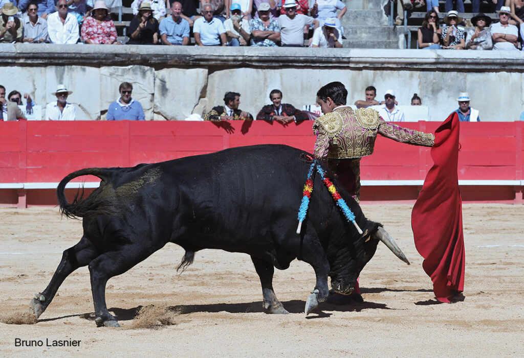 El Domingo de la vendimia de Nîmes : triunfo de Marco Pérez por la mañana y buena corrida de Fuente Ymbro por la tarde 17 El Domingo de la vendimia de Nîmes : triunfo de Marco Pérez por la mañana y buena corrida de Fuente Ymbro por la tarde Marco Pérez no contó con mucha colaboración por parte de sus toros. No obstante, triunfó. Gracias a varias buenas estocadas, variedad y una entrega absoluta ante el difícil reto de enfrentarse en solitario a seis toros.
