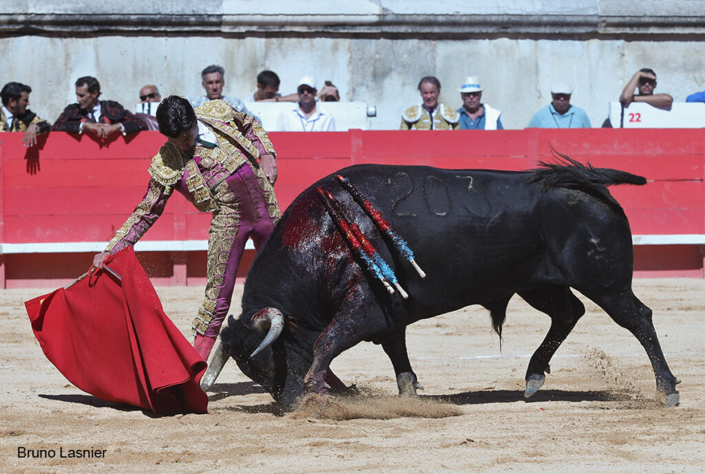 El Domingo de la vendimia de Nîmes : triunfo de Marco Pérez por la mañana y buena corrida de Fuente Ymbro por la tarde 18 El Domingo de la vendimia de Nîmes : triunfo de Marco Pérez por la mañana y buena corrida de Fuente Ymbro por la tarde Marco Pérez no contó con mucha colaboración por parte de sus toros. No obstante, triunfó. Gracias a varias buenas estocadas, variedad y una entrega absoluta ante el difícil reto de enfrentarse en solitario a seis toros.