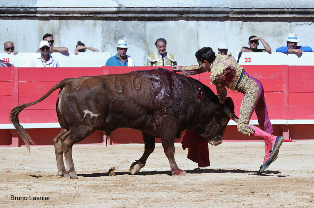 El Domingo de la vendimia de Nîmes : triunfo de Marco Pérez por la mañana y buena corrida de Fuente Ymbro por la tarde 3 El Domingo de la vendimia de Nîmes : triunfo de Marco Pérez por la mañana y buena corrida de Fuente Ymbro por la tarde Marco Pérez no contó con mucha colaboración por parte de sus toros. No obstante, triunfó. Gracias a varias buenas estocadas, variedad y una entrega absoluta ante el difícil reto de enfrentarse en solitario a seis toros.
