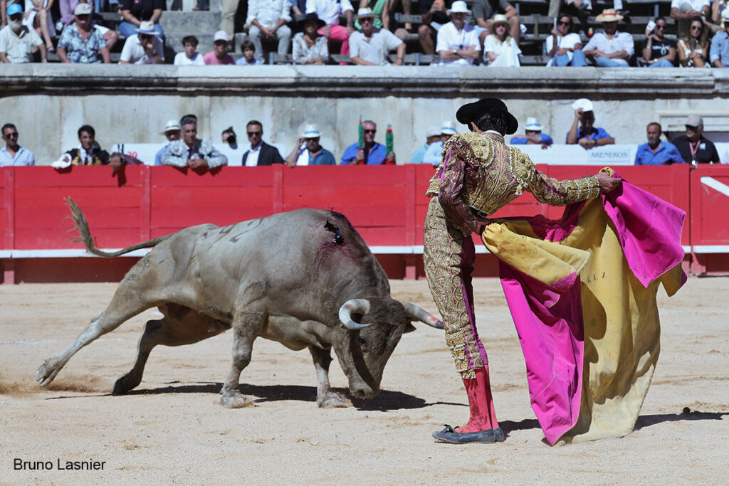 El Domingo de la vendimia de Nîmes : triunfo de Marco Pérez por la mañana y buena corrida de Fuente Ymbro por la tarde 19 El Domingo de la vendimia de Nîmes : triunfo de Marco Pérez por la mañana y buena corrida de Fuente Ymbro por la tarde Marco Pérez no contó con mucha colaboración por parte de sus toros. No obstante, triunfó. Gracias a varias buenas estocadas, variedad y una entrega absoluta ante el difícil reto de enfrentarse en solitario a seis toros.