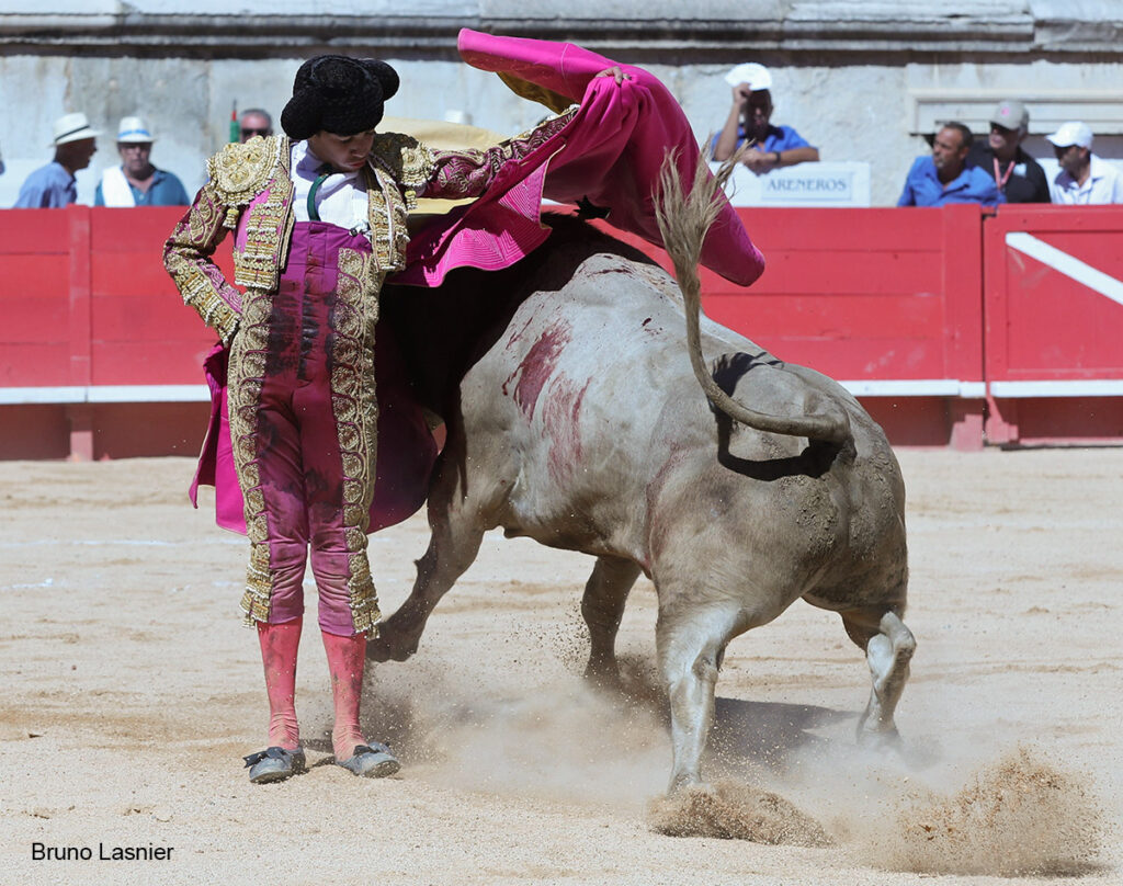 El Domingo de la vendimia de Nîmes : triunfo de Marco Pérez por la mañana y buena corrida de Fuente Ymbro por la tarde 9 El Domingo de la vendimia de Nîmes : triunfo de Marco Pérez por la mañana y buena corrida de Fuente Ymbro por la tarde Marco Pérez no contó con mucha colaboración por parte de sus toros. No obstante, triunfó. Gracias a varias buenas estocadas, variedad y una entrega absoluta ante el difícil reto de enfrentarse en solitario a seis toros.