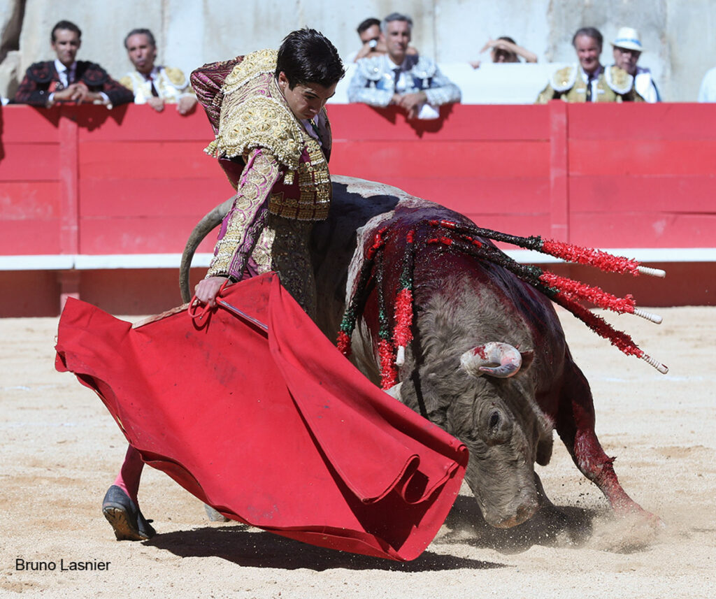 El Domingo de la vendimia de Nîmes : triunfo de Marco Pérez por la mañana y buena corrida de Fuente Ymbro por la tarde 20 El Domingo de la vendimia de Nîmes : triunfo de Marco Pérez por la mañana y buena corrida de Fuente Ymbro por la tarde Marco Pérez no contó con mucha colaboración por parte de sus toros. No obstante, triunfó. Gracias a varias buenas estocadas, variedad y una entrega absoluta ante el difícil reto de enfrentarse en solitario a seis toros.