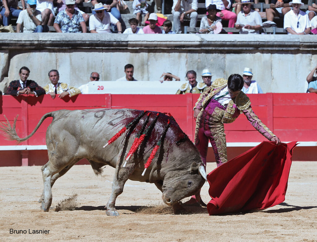El Domingo de la vendimia de Nîmes : triunfo de Marco Pérez por la mañana y buena corrida de Fuente Ymbro por la tarde 21 El Domingo de la vendimia de Nîmes : triunfo de Marco Pérez por la mañana y buena corrida de Fuente Ymbro por la tarde Marco Pérez no contó con mucha colaboración por parte de sus toros. No obstante, triunfó. Gracias a varias buenas estocadas, variedad y una entrega absoluta ante el difícil reto de enfrentarse en solitario a seis toros.
