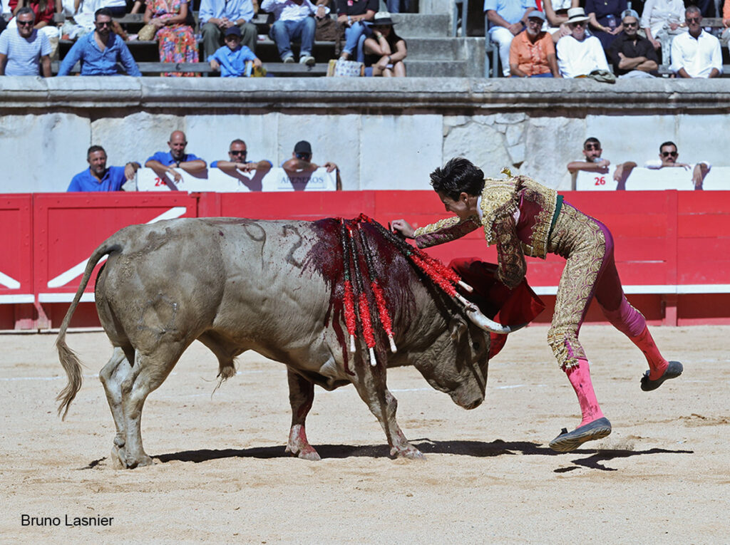 El Domingo de la vendimia de Nîmes : triunfo de Marco Pérez por la mañana y buena corrida de Fuente Ymbro por la tarde 22 El Domingo de la vendimia de Nîmes : triunfo de Marco Pérez por la mañana y buena corrida de Fuente Ymbro por la tarde Marco Pérez no contó con mucha colaboración por parte de sus toros. No obstante, triunfó. Gracias a varias buenas estocadas, variedad y una entrega absoluta ante el difícil reto de enfrentarse en solitario a seis toros.