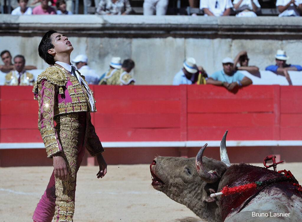 El Domingo de la vendimia de Nîmes : triunfo de Marco Pérez por la mañana y buena corrida de Fuente Ymbro por la tarde 23 El Domingo de la vendimia de Nîmes : triunfo de Marco Pérez por la mañana y buena corrida de Fuente Ymbro por la tarde Marco Pérez no contó con mucha colaboración por parte de sus toros. No obstante, triunfó. Gracias a varias buenas estocadas, variedad y una entrega absoluta ante el difícil reto de enfrentarse en solitario a seis toros.