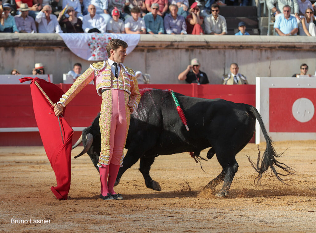 El Domingo de la vendimia de Nîmes : triunfo de Marco Pérez por la mañana y buena corrida de Fuente Ymbro por la tarde 26 El Domingo de la vendimia de Nîmes : triunfo de Marco Pérez por la mañana y buena corrida de Fuente Ymbro por la tarde Marco Pérez no contó con mucha colaboración por parte de sus toros. No obstante, triunfó. Gracias a varias buenas estocadas, variedad y una entrega absoluta ante el difícil reto de enfrentarse en solitario a seis toros.