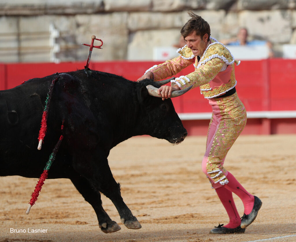 El Domingo de la vendimia de Nîmes : triunfo de Marco Pérez por la mañana y buena corrida de Fuente Ymbro por la tarde 27 El Domingo de la vendimia de Nîmes : triunfo de Marco Pérez por la mañana y buena corrida de Fuente Ymbro por la tarde Marco Pérez no contó con mucha colaboración por parte de sus toros. No obstante, triunfó. Gracias a varias buenas estocadas, variedad y una entrega absoluta ante el difícil reto de enfrentarse en solitario a seis toros.