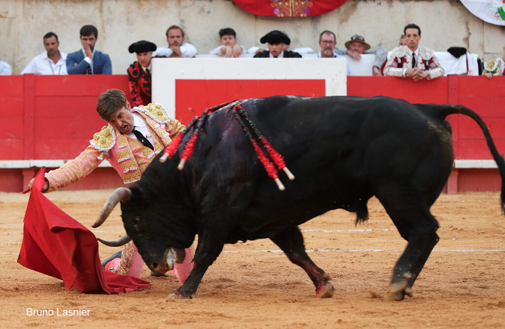 El Domingo de la vendimia de Nîmes : triunfo de Marco Pérez por la mañana y buena corrida de Fuente Ymbro por la tarde 28 El Domingo de la vendimia de Nîmes : triunfo de Marco Pérez por la mañana y buena corrida de Fuente Ymbro por la tarde Marco Pérez no contó con mucha colaboración por parte de sus toros. No obstante, triunfó. Gracias a varias buenas estocadas, variedad y una entrega absoluta ante el difícil reto de enfrentarse en solitario a seis toros.