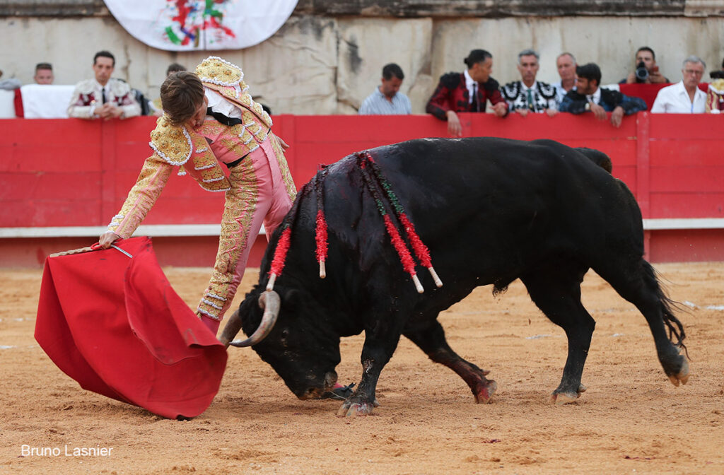 El Domingo de la vendimia de Nîmes : triunfo de Marco Pérez por la mañana y buena corrida de Fuente Ymbro por la tarde 29 El Domingo de la vendimia de Nîmes : triunfo de Marco Pérez por la mañana y buena corrida de Fuente Ymbro por la tarde Marco Pérez no contó con mucha colaboración por parte de sus toros. No obstante, triunfó. Gracias a varias buenas estocadas, variedad y una entrega absoluta ante el difícil reto de enfrentarse en solitario a seis toros.