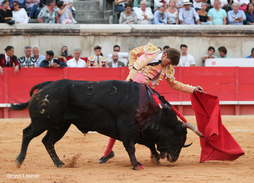 El Domingo de la vendimia de Nîmes : triunfo de Marco Pérez por la mañana y buena corrida de Fuente Ymbro por la tarde 30 El Domingo de la vendimia de Nîmes : triunfo de Marco Pérez por la mañana y buena corrida de Fuente Ymbro por la tarde Marco Pérez no contó con mucha colaboración por parte de sus toros. No obstante, triunfó. Gracias a varias buenas estocadas, variedad y una entrega absoluta ante el difícil reto de enfrentarse en solitario a seis toros.