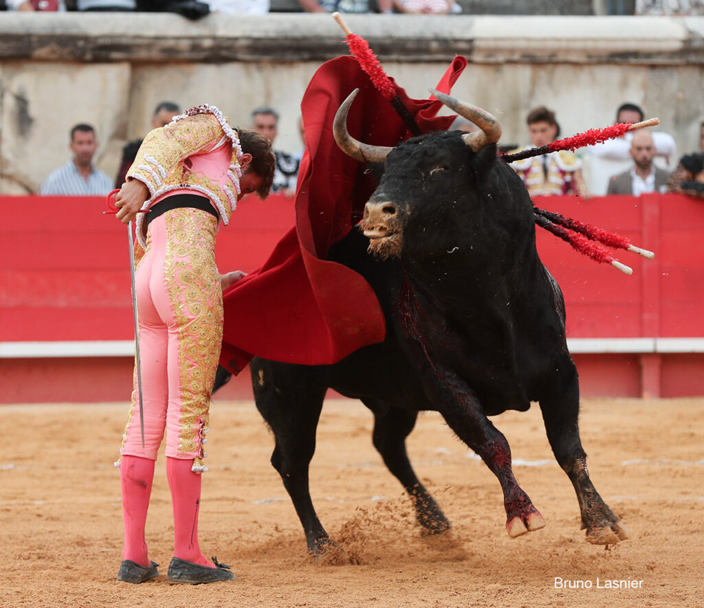 El Domingo de la vendimia de Nîmes : triunfo de Marco Pérez por la mañana y buena corrida de Fuente Ymbro por la tarde 31 El Domingo de la vendimia de Nîmes : triunfo de Marco Pérez por la mañana y buena corrida de Fuente Ymbro por la tarde Marco Pérez no contó con mucha colaboración por parte de sus toros. No obstante, triunfó. Gracias a varias buenas estocadas, variedad y una entrega absoluta ante el difícil reto de enfrentarse en solitario a seis toros.