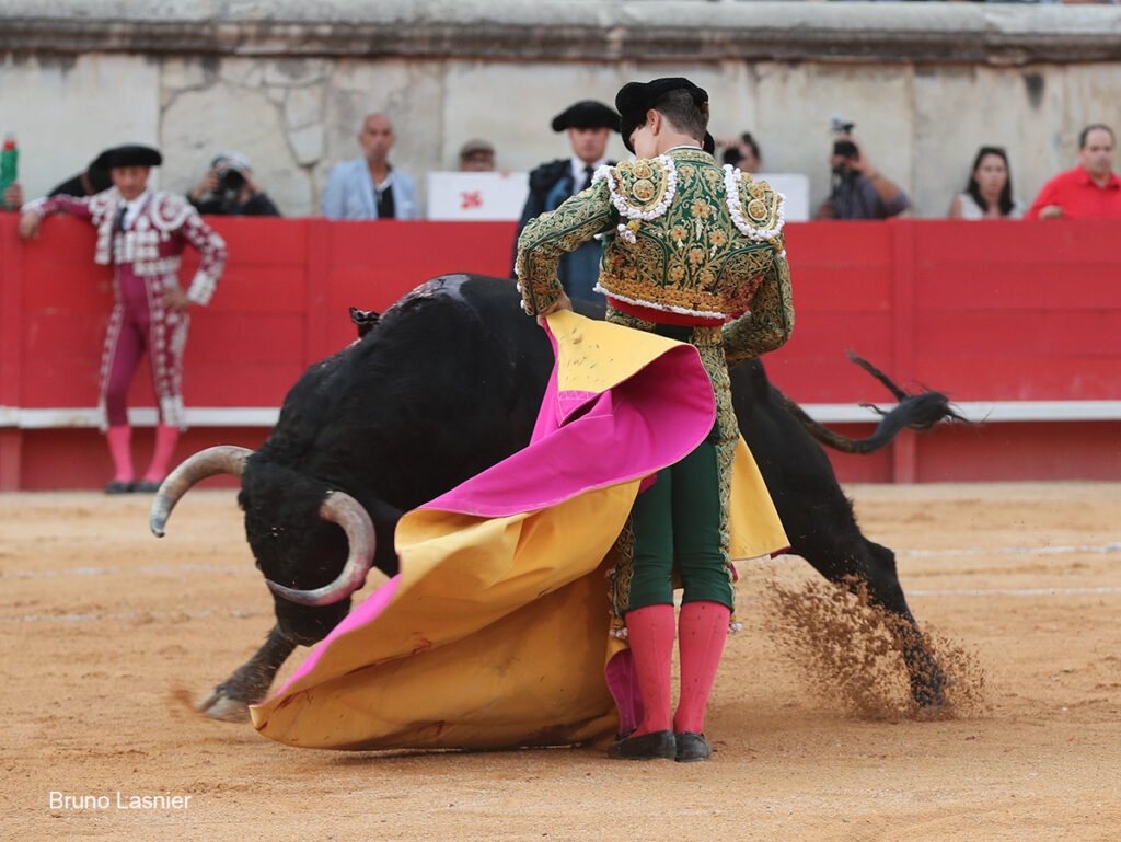 El Domingo de la vendimia de Nîmes : triunfo de Marco Pérez por la mañana y buena corrida de Fuente Ymbro por la tarde 34 El Domingo de la vendimia de Nîmes : triunfo de Marco Pérez por la mañana y buena corrida de Fuente Ymbro por la tarde Marco Pérez no contó con mucha colaboración por parte de sus toros. No obstante, triunfó. Gracias a varias buenas estocadas, variedad y una entrega absoluta ante el difícil reto de enfrentarse en solitario a seis toros.