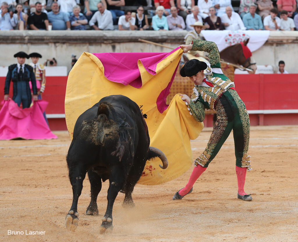 El Domingo de la vendimia de Nîmes : triunfo de Marco Pérez por la mañana y buena corrida de Fuente Ymbro por la tarde 35 El Domingo de la vendimia de Nîmes : triunfo de Marco Pérez por la mañana y buena corrida de Fuente Ymbro por la tarde Marco Pérez no contó con mucha colaboración por parte de sus toros. No obstante, triunfó. Gracias a varias buenas estocadas, variedad y una entrega absoluta ante el difícil reto de enfrentarse en solitario a seis toros.