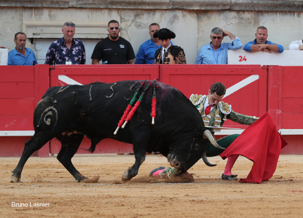 El Domingo de la vendimia de Nîmes : triunfo de Marco Pérez por la mañana y buena corrida de Fuente Ymbro por la tarde 36 El Domingo de la vendimia de Nîmes : triunfo de Marco Pérez por la mañana y buena corrida de Fuente Ymbro por la tarde Marco Pérez no contó con mucha colaboración por parte de sus toros. No obstante, triunfó. Gracias a varias buenas estocadas, variedad y una entrega absoluta ante el difícil reto de enfrentarse en solitario a seis toros.