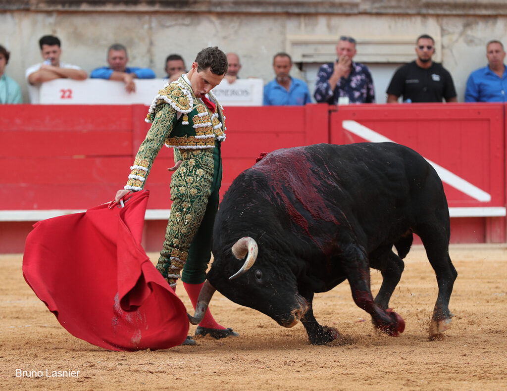 El Domingo de la vendimia de Nîmes : triunfo de Marco Pérez por la mañana y buena corrida de Fuente Ymbro por la tarde 37 El Domingo de la vendimia de Nîmes : triunfo de Marco Pérez por la mañana y buena corrida de Fuente Ymbro por la tarde Marco Pérez no contó con mucha colaboración por parte de sus toros. No obstante, triunfó. Gracias a varias buenas estocadas, variedad y una entrega absoluta ante el difícil reto de enfrentarse en solitario a seis toros.