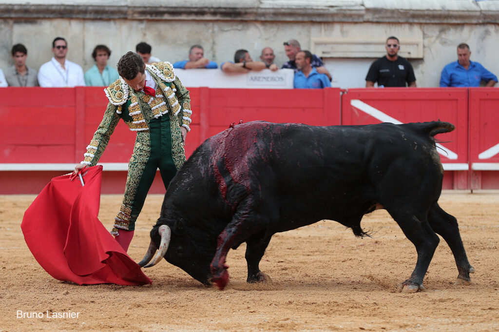 El Domingo de la vendimia de Nîmes : triunfo de Marco Pérez por la mañana y buena corrida de Fuente Ymbro por la tarde 38 El Domingo de la vendimia de Nîmes : triunfo de Marco Pérez por la mañana y buena corrida de Fuente Ymbro por la tarde Marco Pérez no contó con mucha colaboración por parte de sus toros. No obstante, triunfó. Gracias a varias buenas estocadas, variedad y una entrega absoluta ante el difícil reto de enfrentarse en solitario a seis toros.