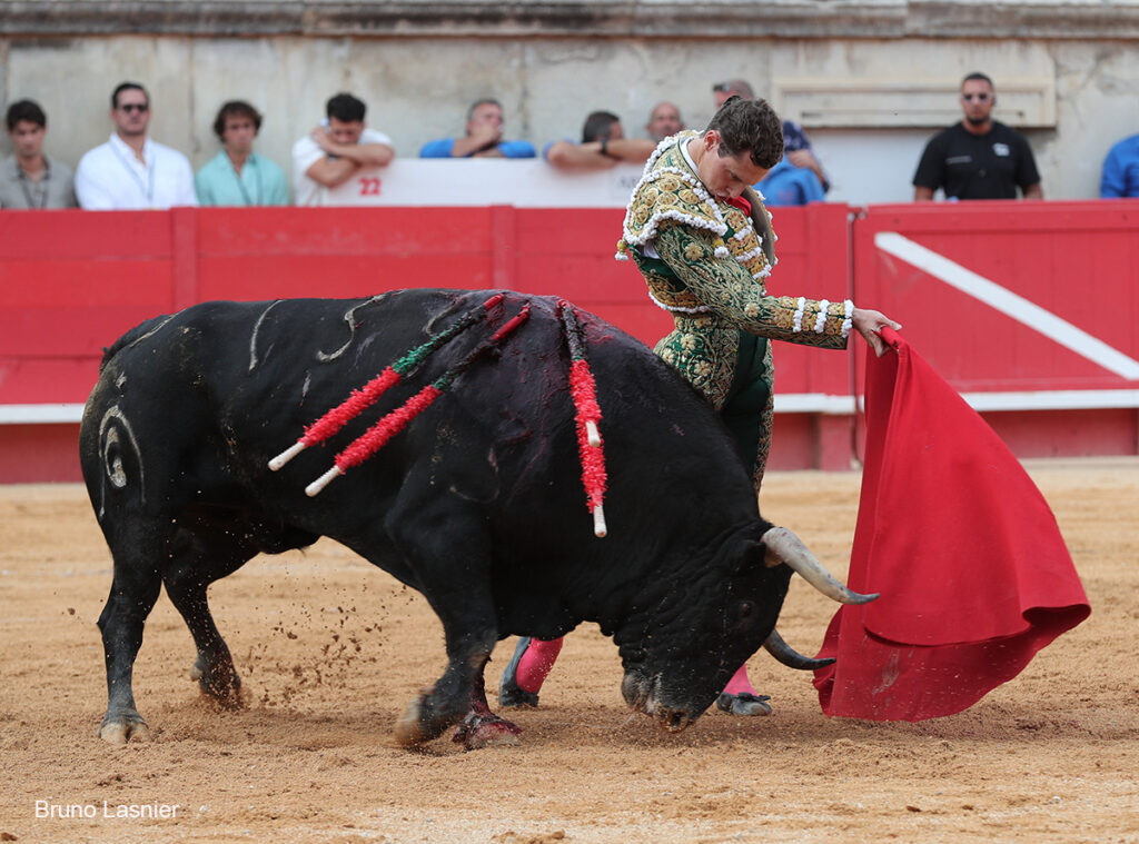 El Domingo de la vendimia de Nîmes : triunfo de Marco Pérez por la mañana y buena corrida de Fuente Ymbro por la tarde 40 El Domingo de la vendimia de Nîmes : triunfo de Marco Pérez por la mañana y buena corrida de Fuente Ymbro por la tarde Marco Pérez no contó con mucha colaboración por parte de sus toros. No obstante, triunfó. Gracias a varias buenas estocadas, variedad y una entrega absoluta ante el difícil reto de enfrentarse en solitario a seis toros.
