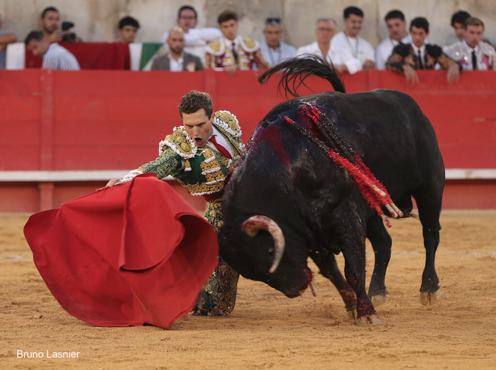 El Domingo de la vendimia de Nîmes : triunfo de Marco Pérez por la mañana y buena corrida de Fuente Ymbro por la tarde 43 El Domingo de la vendimia de Nîmes : triunfo de Marco Pérez por la mañana y buena corrida de Fuente Ymbro por la tarde Marco Pérez no contó con mucha colaboración por parte de sus toros. No obstante, triunfó. Gracias a varias buenas estocadas, variedad y una entrega absoluta ante el difícil reto de enfrentarse en solitario a seis toros.