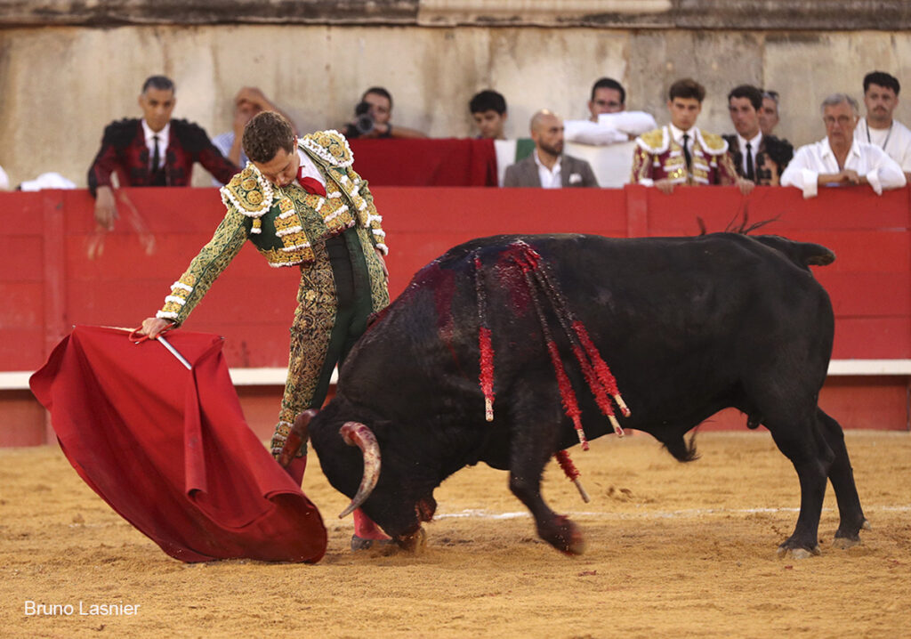 El Domingo de la vendimia de Nîmes : triunfo de Marco Pérez por la mañana y buena corrida de Fuente Ymbro por la tarde 44 El Domingo de la vendimia de Nîmes : triunfo de Marco Pérez por la mañana y buena corrida de Fuente Ymbro por la tarde Marco Pérez no contó con mucha colaboración por parte de sus toros. No obstante, triunfó. Gracias a varias buenas estocadas, variedad y una entrega absoluta ante el difícil reto de enfrentarse en solitario a seis toros.