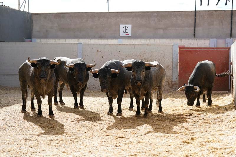 Sorteados los de José Escolar para la sexta del Alfarero de Oro 2026