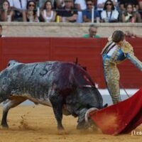 Ruiz de Velasco corta la única oreja ante una interesante novillada de Ana Romero en Villaseca
