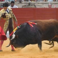 El Mene firma el toreo de mayor empaque pero pierde con la espada el premio grande en Villaseca