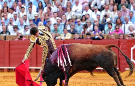 Pablo Aguado conquista la Puerta del Príncipe 2 Pablo Aguado conquista la Puerta del Príncipe Abrió plaza ‘Zaiteku’ al que Emilio de Justo recibió con el capote a una mano. Muy firme y exponiendo mucho. El toro se metió por dentro y le arrolló. Momento de tensión ya que el torero quedó a merced del animal pegado a las tablas. Recibió una voltereta y un golpe en la cara, pero se repuso De Justo y remató el saludo por chicuelinas. Volvió a tener otro susto el extremeño al llevar el toro al caballo. Se le volvió a meter por dentro el de Jandilla. Brindó Emilio de Justo a Pablo Aguado. Con la muleta Emilio de Justo se echó la mano a la izquierda en el comienzo de faena. Naturales de uno en uno, mucha profundidad y rotundidad. Por el derecho también dejó varias series, pero no embestía con tanta entrega el de Jandilla. Faena relevante del extremeño. Remató con una estocada. Paseó la oreja.