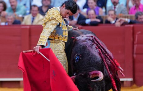 Pablo Aguado conquista la Puerta del Príncipe 3 Pablo Aguado conquista la Puerta del Príncipe Abrió plaza ‘Zaiteku’ al que Emilio de Justo recibió con el capote a una mano. Muy firme y exponiendo mucho. El toro se metió por dentro y le arrolló. Momento de tensión ya que el torero quedó a merced del animal pegado a las tablas. Recibió una voltereta y un golpe en la cara, pero se repuso De Justo y remató el saludo por chicuelinas. Volvió a tener otro susto el extremeño al llevar el toro al caballo. Se le volvió a meter por dentro el de Jandilla. Brindó Emilio de Justo a Pablo Aguado. Con la muleta Emilio de Justo se echó la mano a la izquierda en el comienzo de faena. Naturales de uno en uno, mucha profundidad y rotundidad. Por el derecho también dejó varias series, pero no embestía con tanta entrega el de Jandilla. Faena relevante del extremeño. Remató con una estocada. Paseó la oreja.