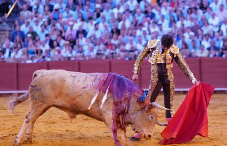 Pablo Aguado conquista la Puerta del Príncipe 4 Pablo Aguado conquista la Puerta del Príncipe Abrió plaza ‘Zaiteku’ al que Emilio de Justo recibió con el capote a una mano. Muy firme y exponiendo mucho. El toro se metió por dentro y le arrolló. Momento de tensión ya que el torero quedó a merced del animal pegado a las tablas. Recibió una voltereta y un golpe en la cara, pero se repuso De Justo y remató el saludo por chicuelinas. Volvió a tener otro susto el extremeño al llevar el toro al caballo. Se le volvió a meter por dentro el de Jandilla. Brindó Emilio de Justo a Pablo Aguado. Con la muleta Emilio de Justo se echó la mano a la izquierda en el comienzo de faena. Naturales de uno en uno, mucha profundidad y rotundidad. Por el derecho también dejó varias series, pero no embestía con tanta entrega el de Jandilla. Faena relevante del extremeño. Remató con una estocada. Paseó la oreja.