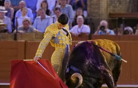 Pablo Aguado conquista la Puerta del Príncipe 5 Pablo Aguado conquista la Puerta del Príncipe Abrió plaza ‘Zaiteku’ al que Emilio de Justo recibió con el capote a una mano. Muy firme y exponiendo mucho. El toro se metió por dentro y le arrolló. Momento de tensión ya que el torero quedó a merced del animal pegado a las tablas. Recibió una voltereta y un golpe en la cara, pero se repuso De Justo y remató el saludo por chicuelinas. Volvió a tener otro susto el extremeño al llevar el toro al caballo. Se le volvió a meter por dentro el de Jandilla. Brindó Emilio de Justo a Pablo Aguado. Con la muleta Emilio de Justo se echó la mano a la izquierda en el comienzo de faena. Naturales de uno en uno, mucha profundidad y rotundidad. Por el derecho también dejó varias series, pero no embestía con tanta entrega el de Jandilla. Faena relevante del extremeño. Remató con una estocada. Paseó la oreja.