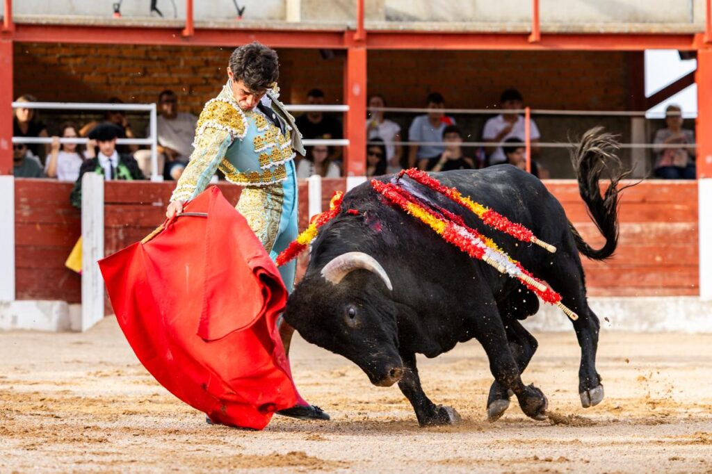 Luis Izaguirre triunfador del certamen "Guadalajara busca un torero" La final del XI certamen "Guadalajara busca un torero" se celebró el domingo 27 de septiembre de 2026, a las 18:00 h, en la plaza de toros de Horche (Guadalajara), donde se lidiaron seis novillos, tres del hierro de Juan Barriopedro y tres de Guerrero y Carpintero para los novilleros finalistas Arias Samper, Julio Martín y Luis Izaguirre
